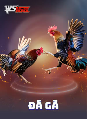 Blackjack Mỹ